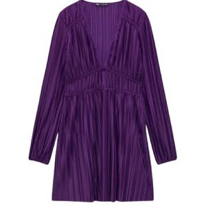 Zara Pleated Dress